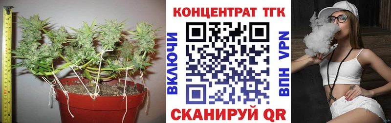 как найти наркотики  Могоча  Дистиллят ТГК концентрат 